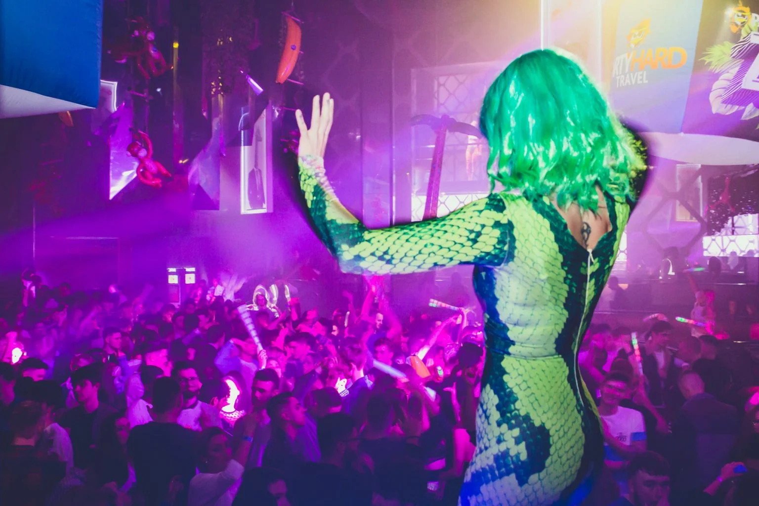 Welcome to the Jungle Kavos